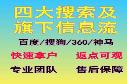 某某sem广告公司成功案例：如何通过SEM优化提高电商销售额
